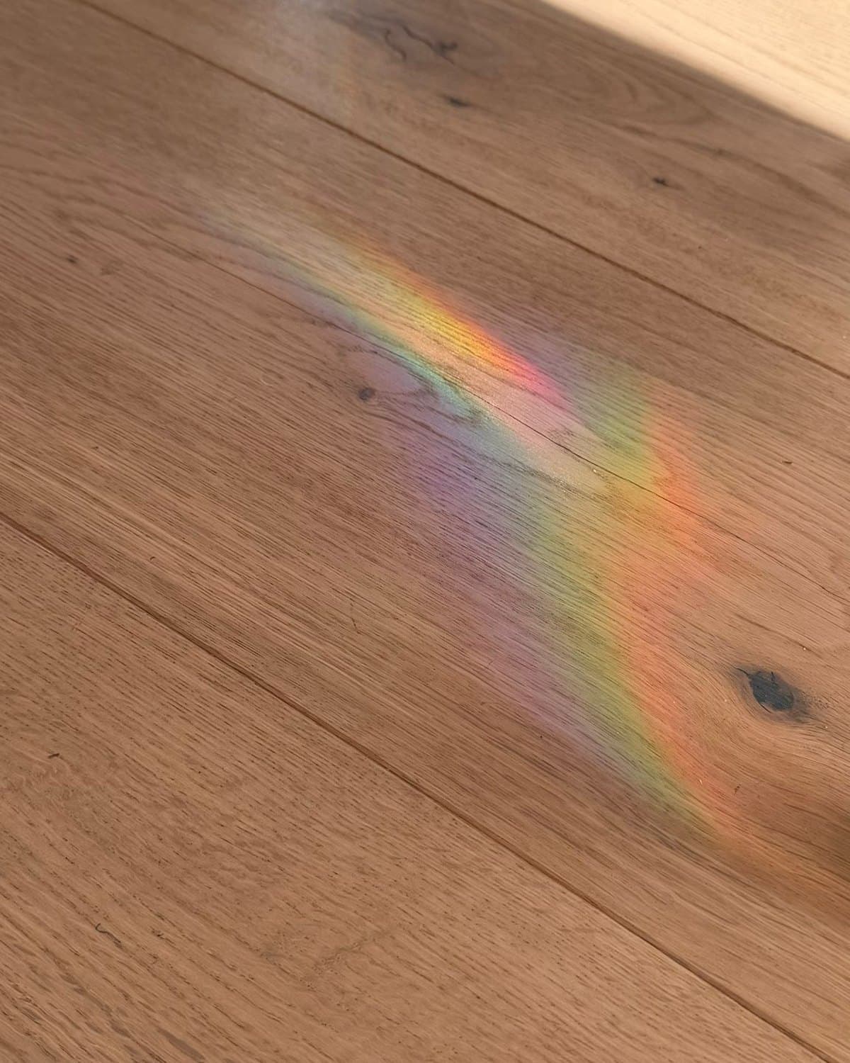 Un arc-en-ciel projeté par le soleil sur un parquet de chêne clair.